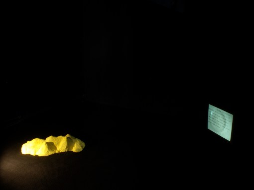 Manifestation IV, SOMA Contemporary, 2011, Jessica Foley and Wendy Judge.