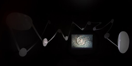 Manifestation II, Triskel Arts Centre and Black Mariah 2010, Jessica Foley.