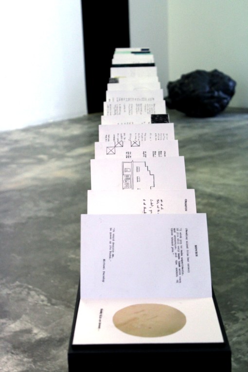 Manifestation IV, SOMA Contemporary, Waterford, 2011, Jessica Foley and Wendy Judge.