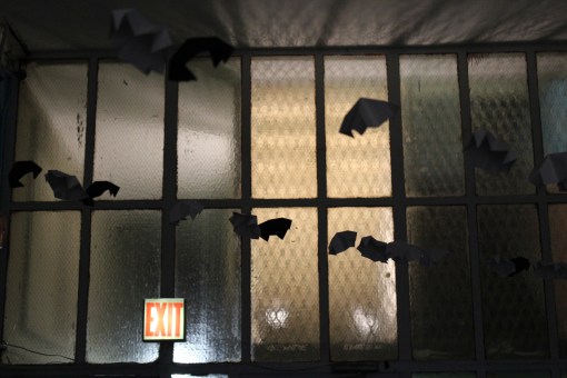 Manifestation III, CSV New York, 2011, Festoon.